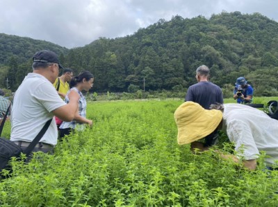 以里山市集展現雙連埤里山生活精神 (6)